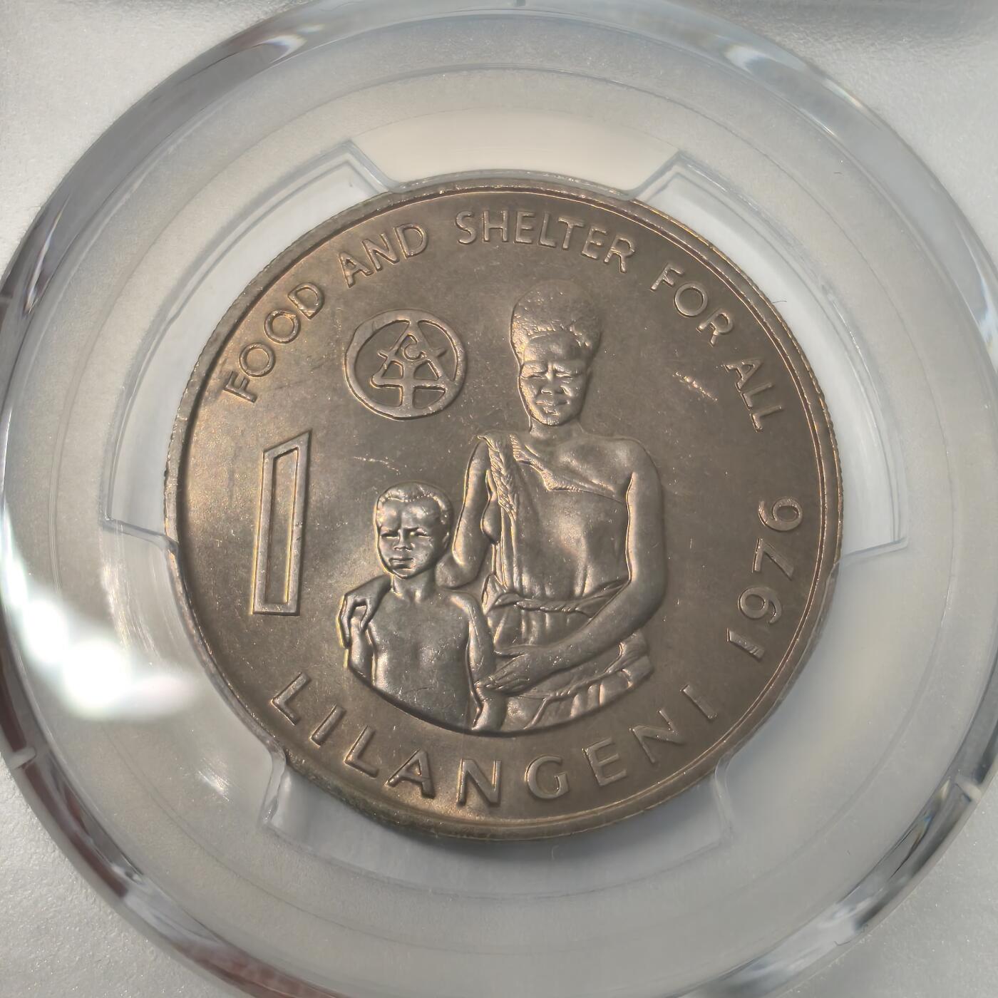 老蟹的宝藏🏴‍☠️ III