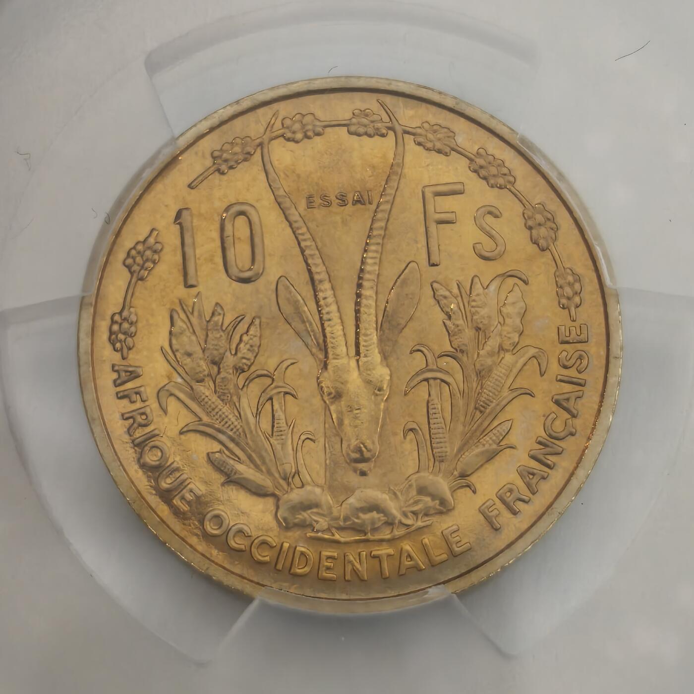 老蟹的宝藏🏴‍☠️ III