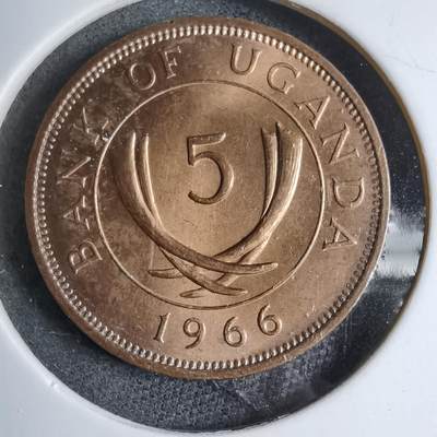 沼泽如烟--第890场 - 乌干达1966年五分