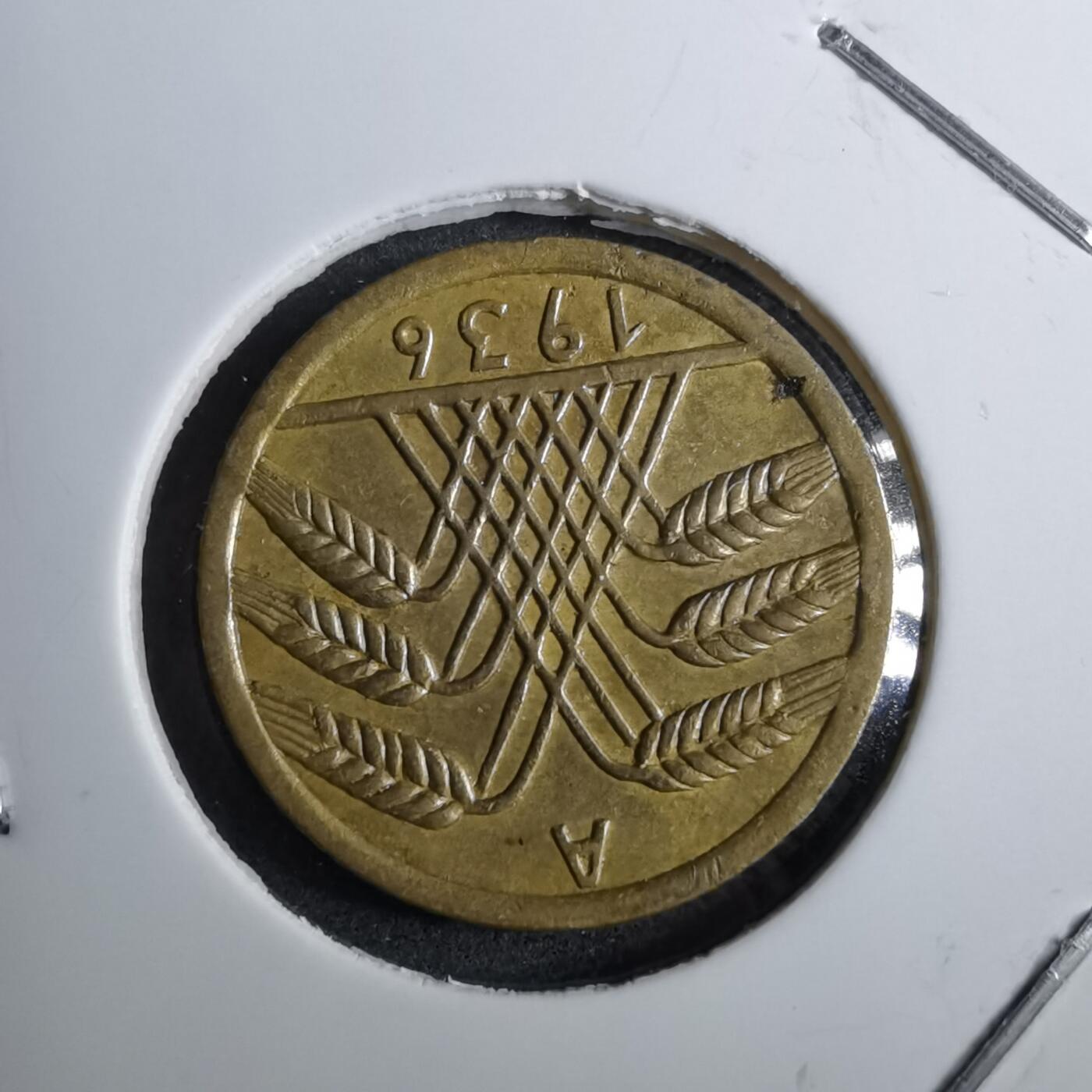 沼泽如烟--第891场