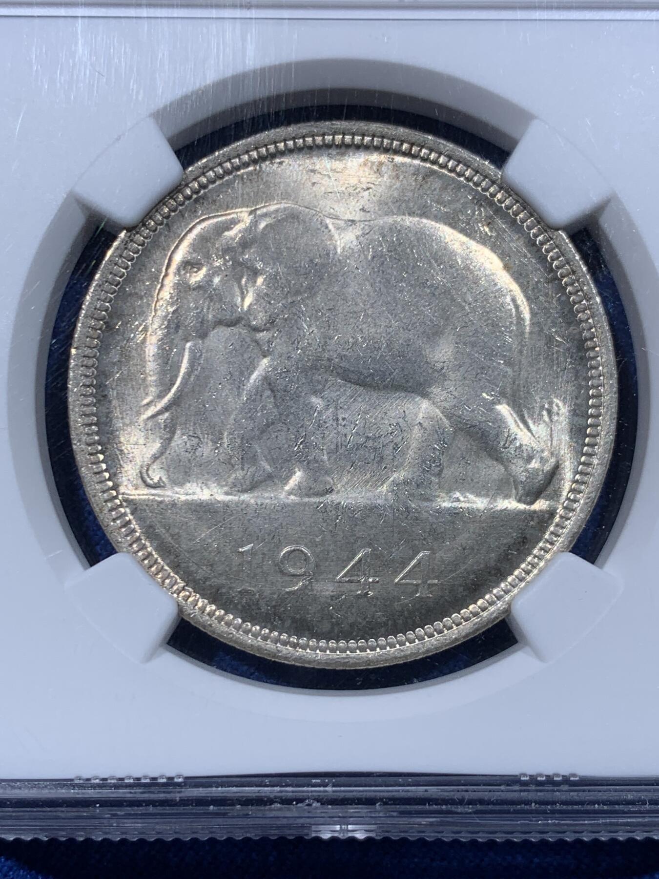 《竞宝斋》第435场 周日，周一2场连拍 （全场包邮） NGC MS63 比属刚果 1944年 大象 50法郎 非洲名誉品 深打黄油包浆 高分难得 收藏佳品