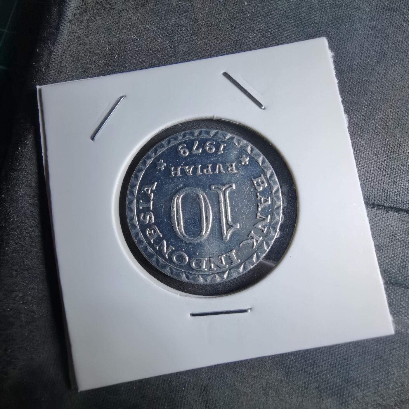 沼泽如烟--第890场