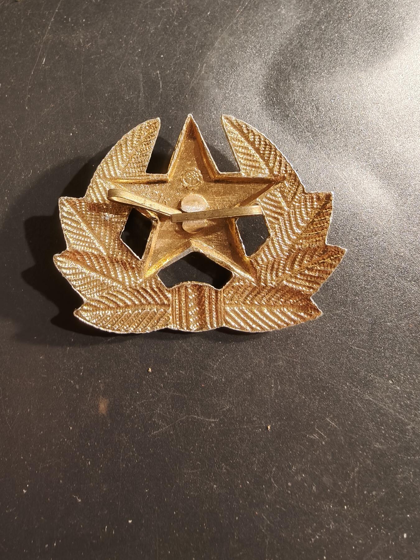 老王徽章第161期