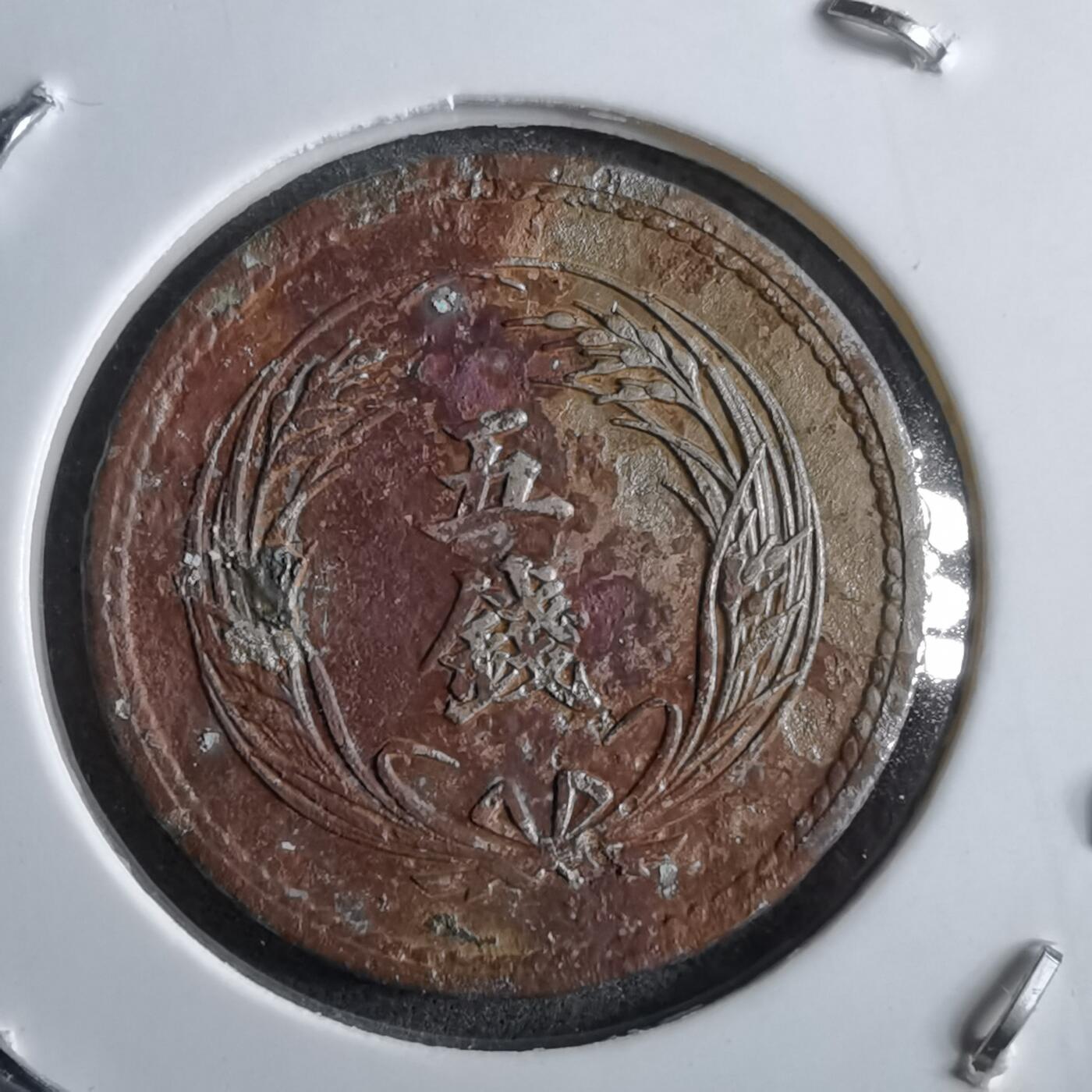 沼泽如烟--第891场