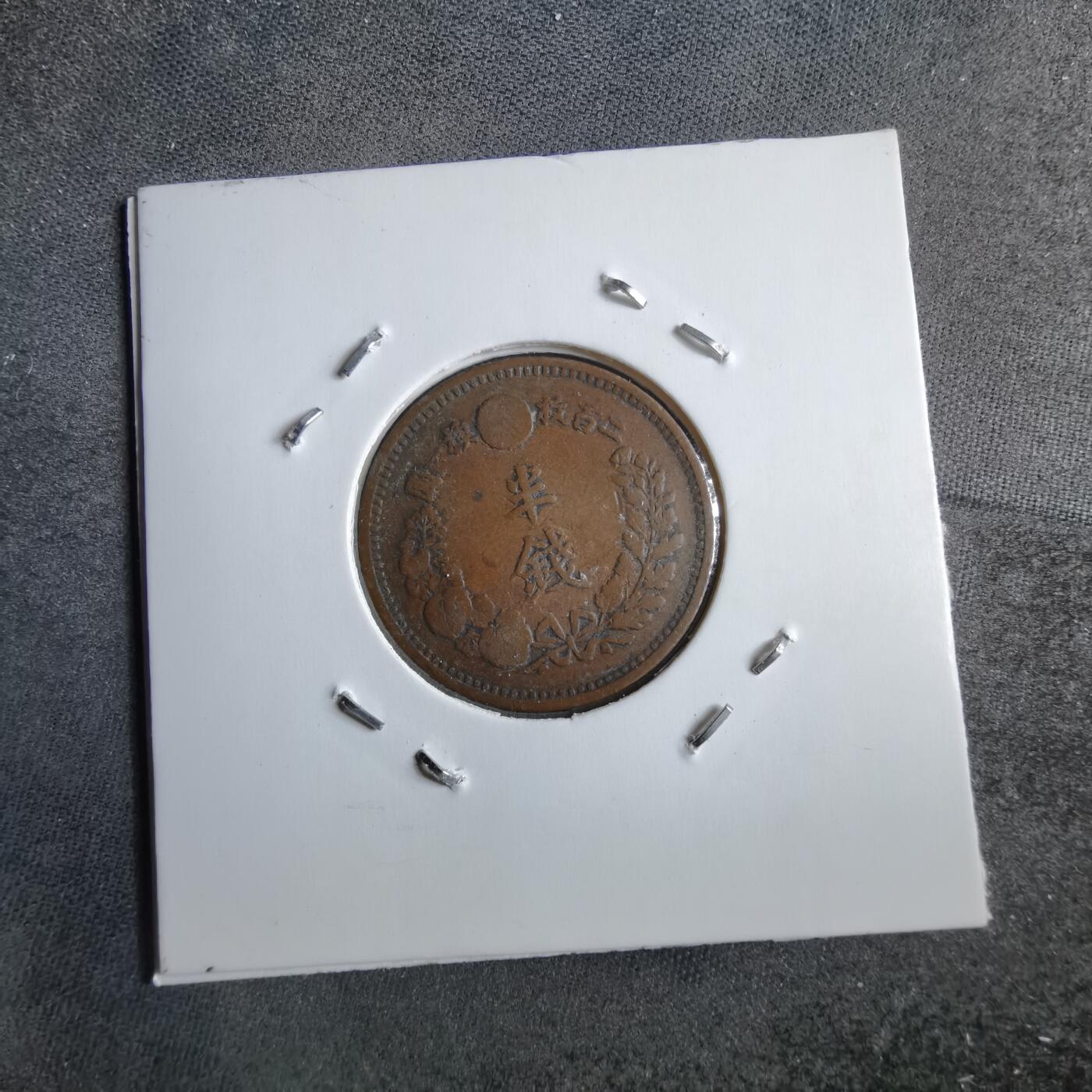 沼泽如烟--第891场