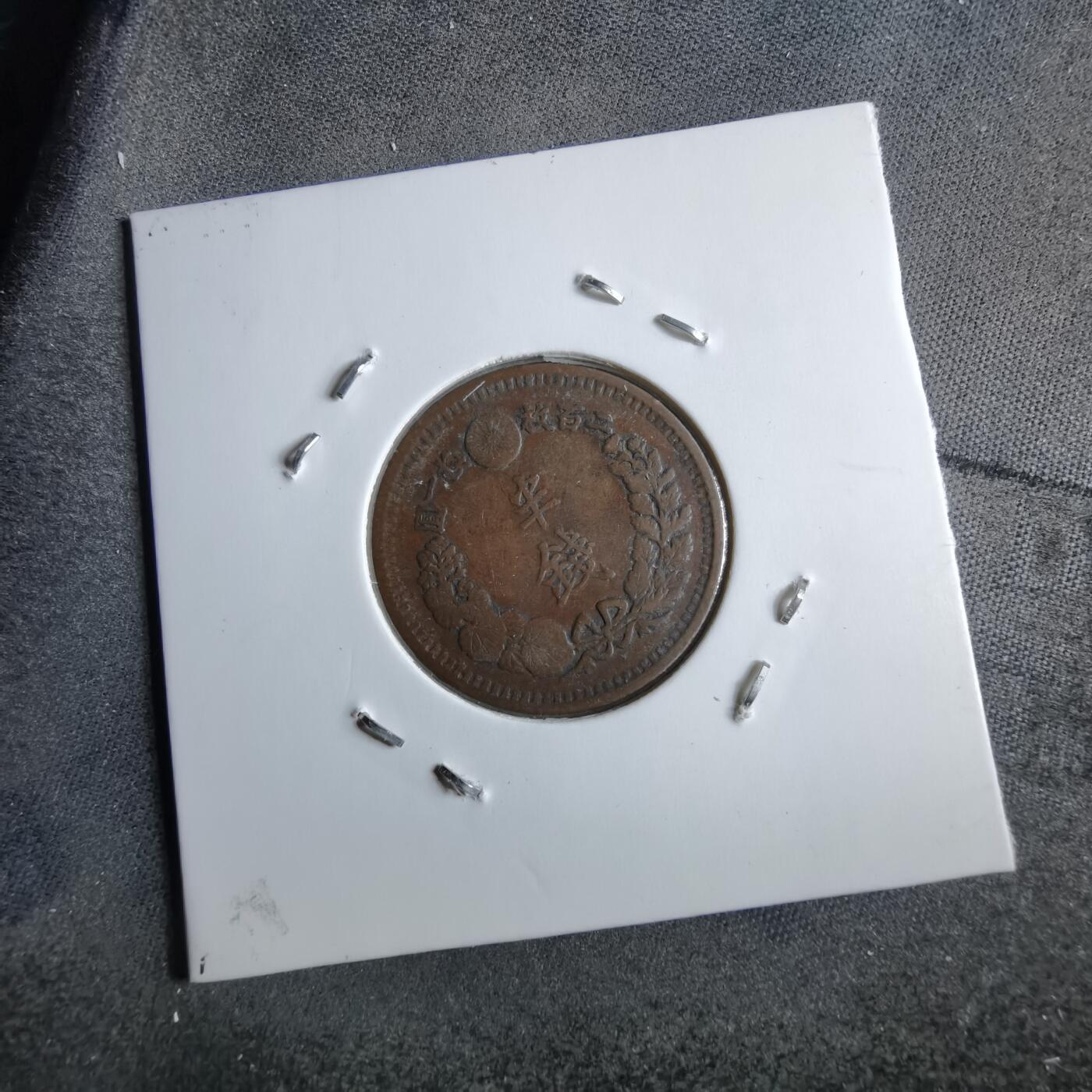 沼泽如烟--第891场