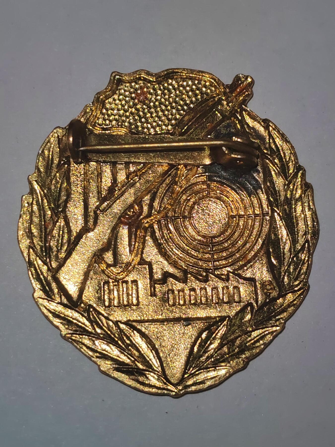 韵星假日拍卖第三十期 -- Rimey Holidays Auction 30 民主德国金级工战队射击技能证章