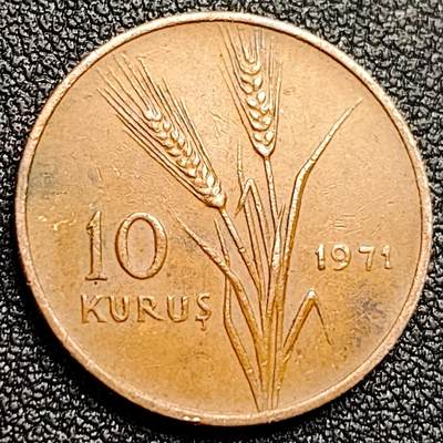 泉币菌-第123场-精品福利场(115场之后的本周末发货，感谢理解) - 拖拉机 FAO粮农币 土耳其10库鲁青铜 1971年21mm3.5g