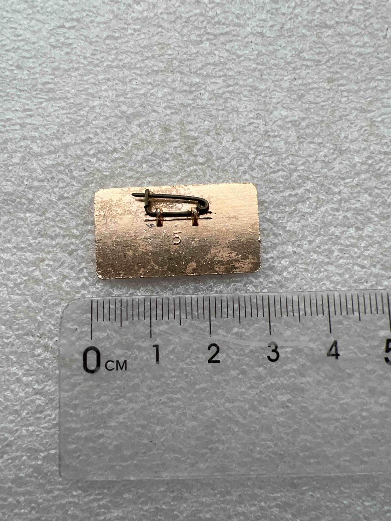 真品毛主席像章纪念章 真品毛主席像章