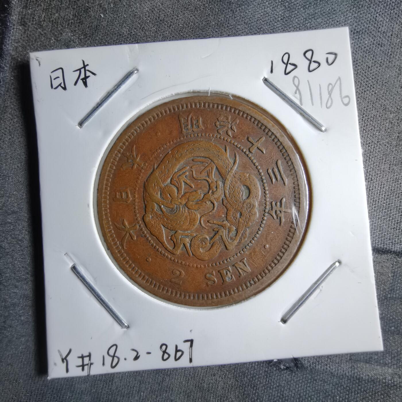 沼泽如烟--第891场