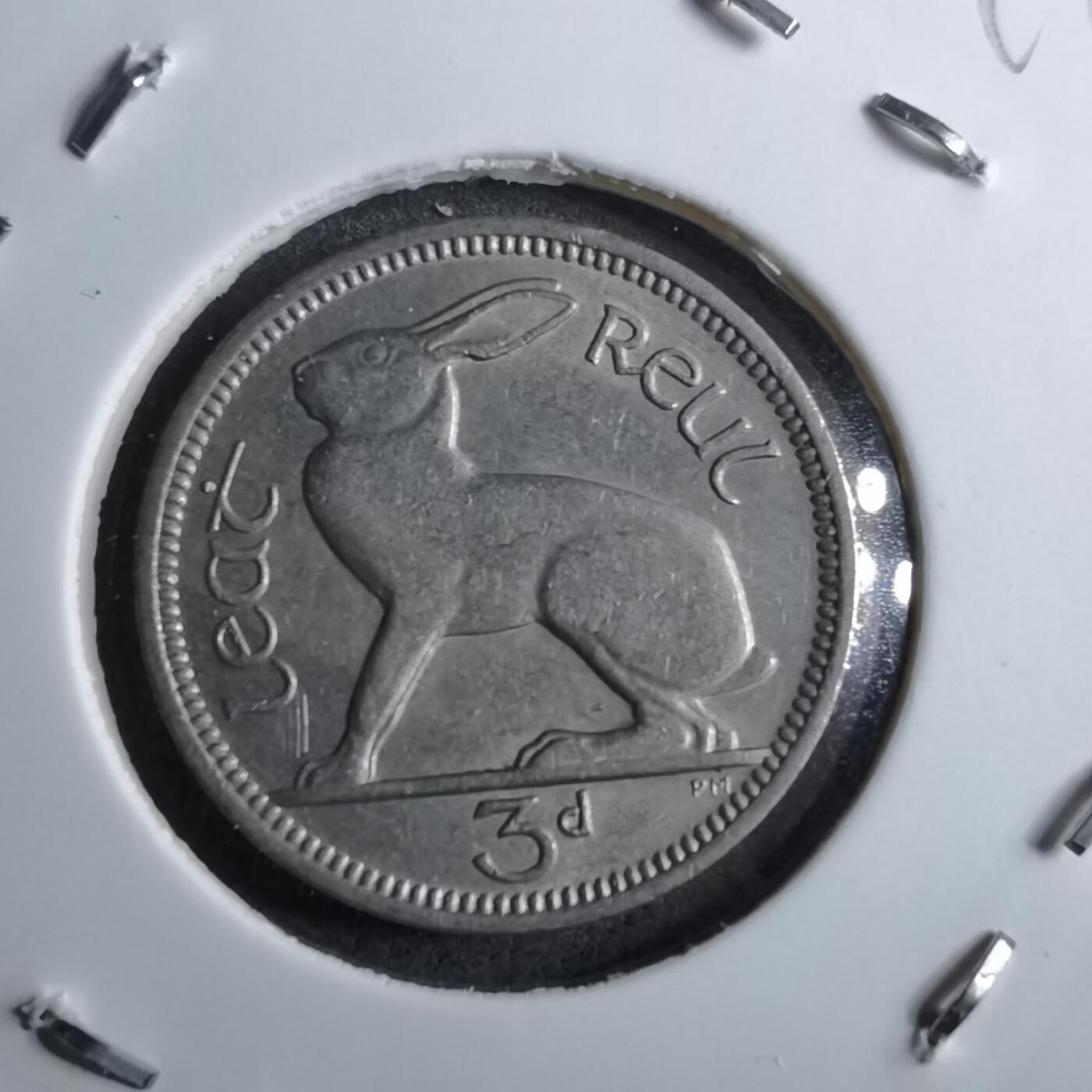 沼泽如烟--第891场