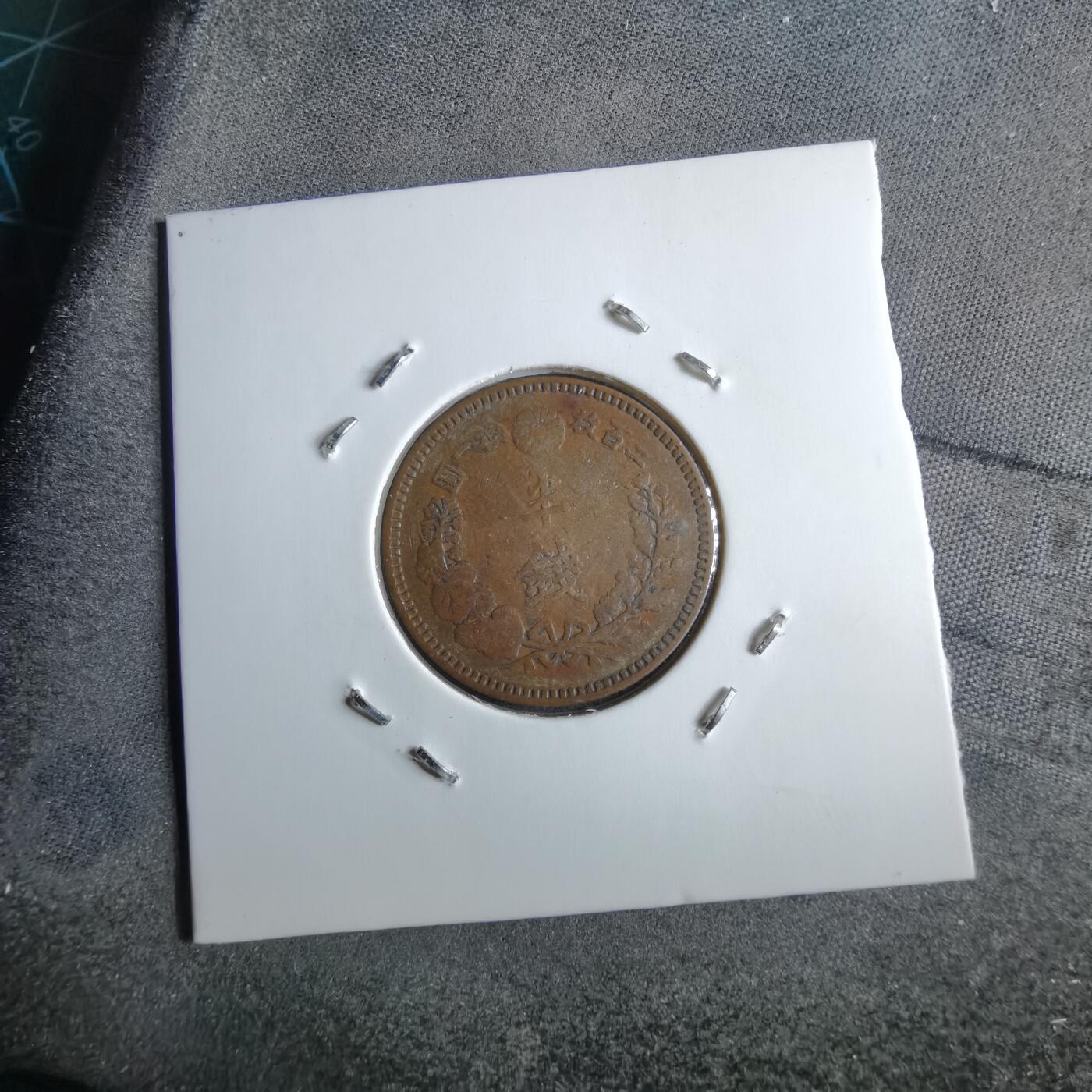 沼泽如烟--第891场