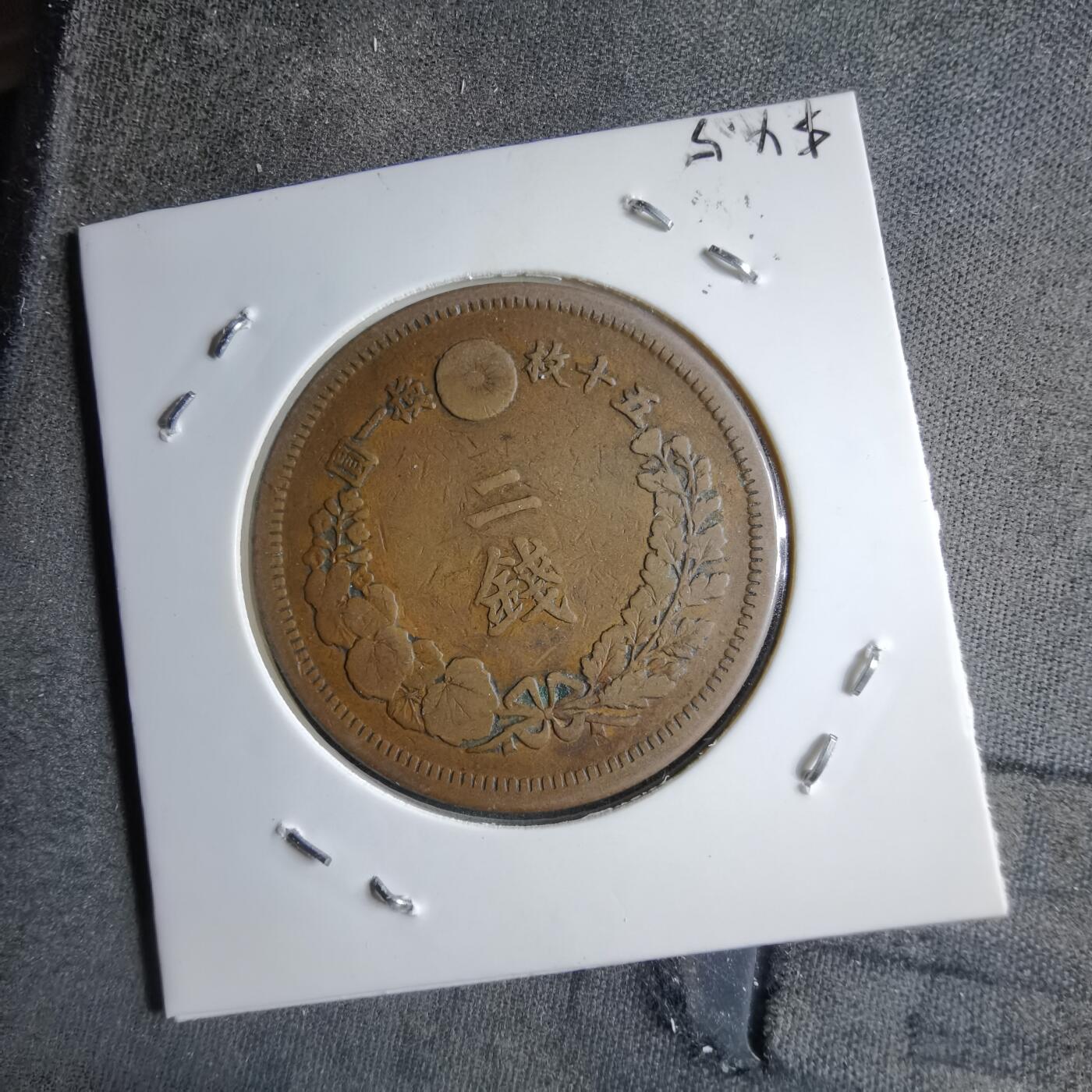 沼泽如烟--第891场