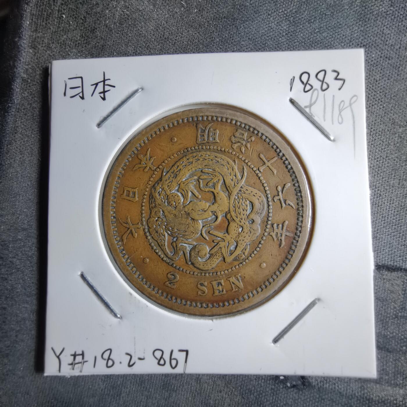 沼泽如烟--第891场