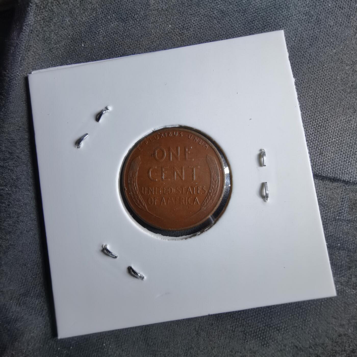 沼泽如烟--第891场