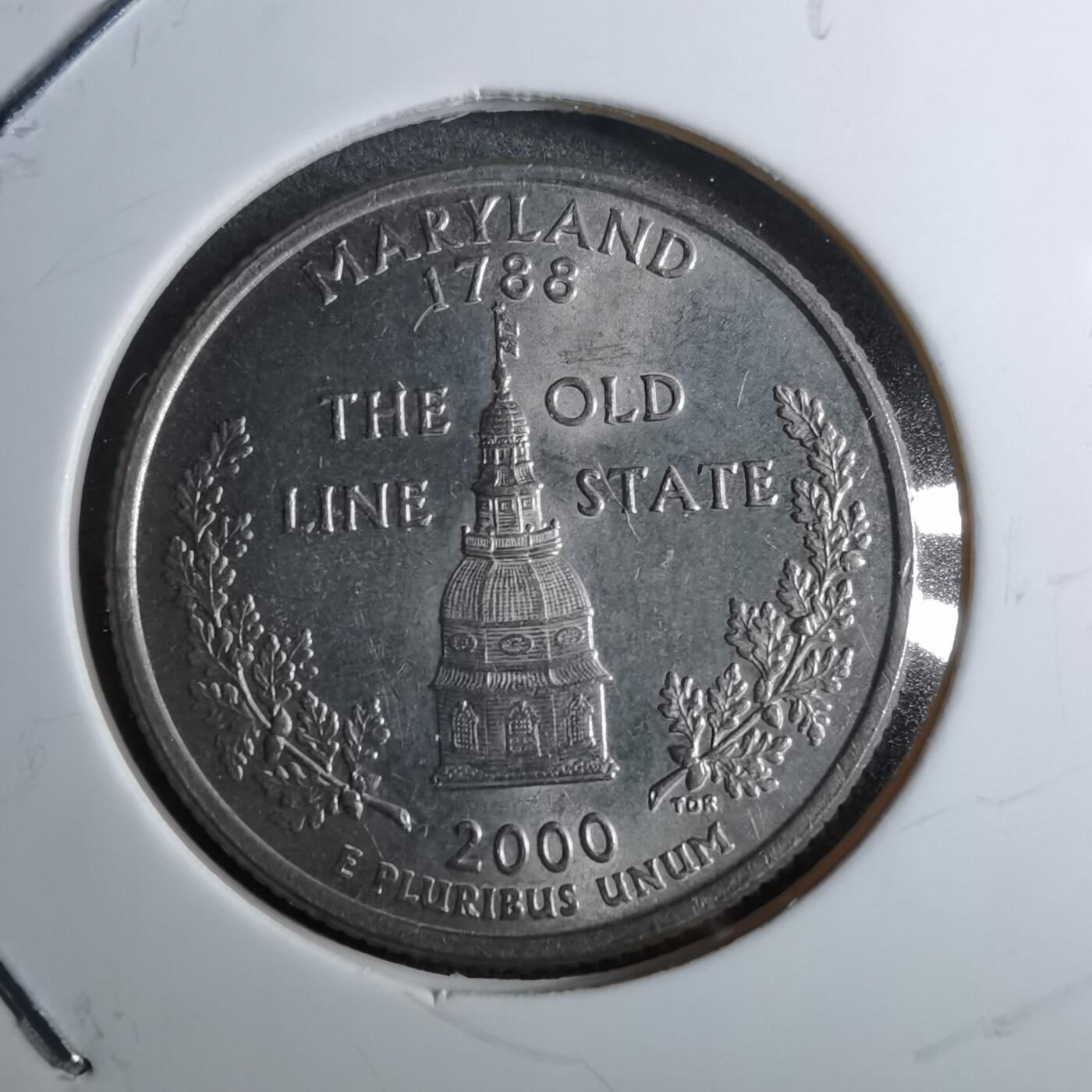 沼泽如烟--第891场