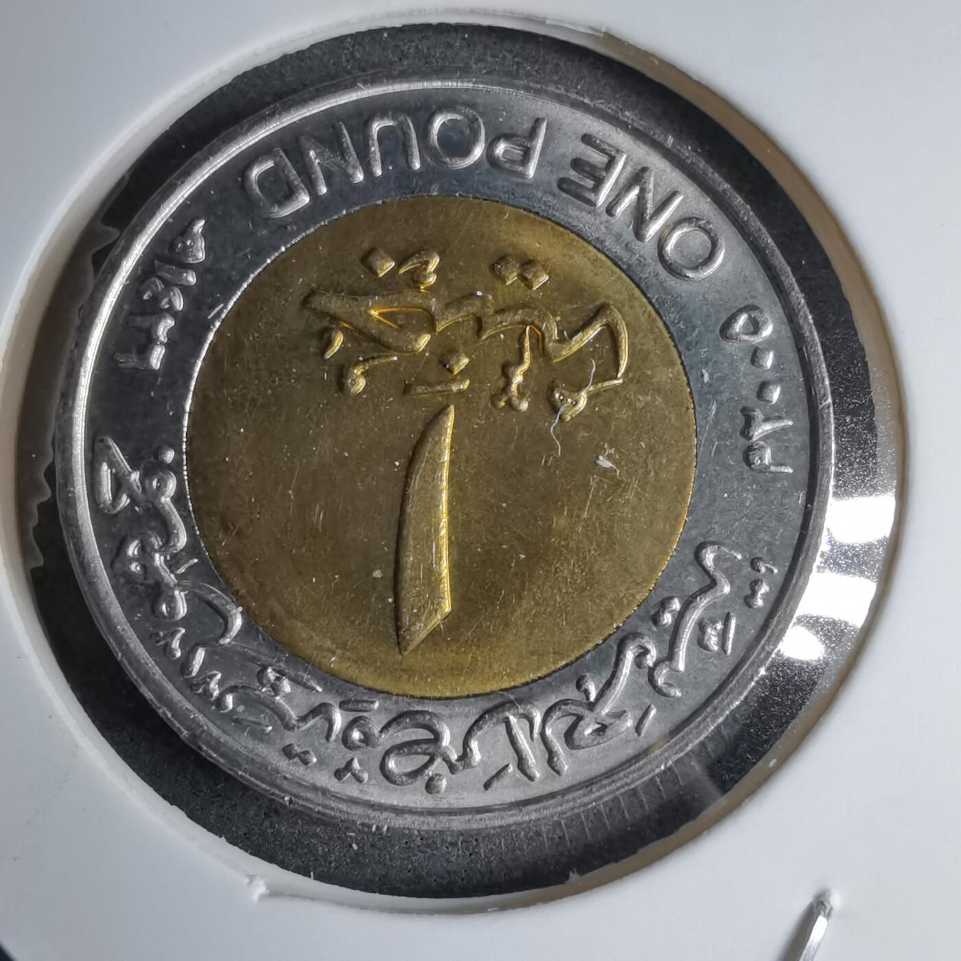 沼泽如烟--第890场 埃及