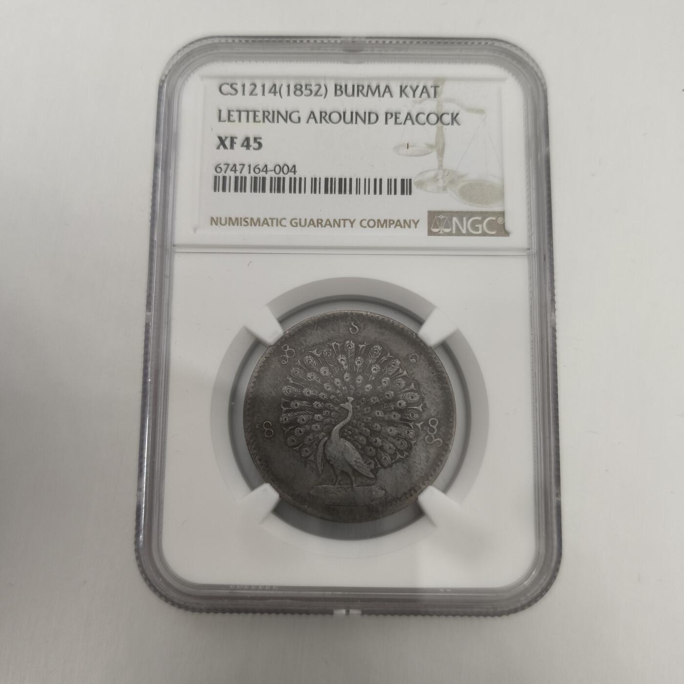 老蟹的宝藏🏴‍☠️ III