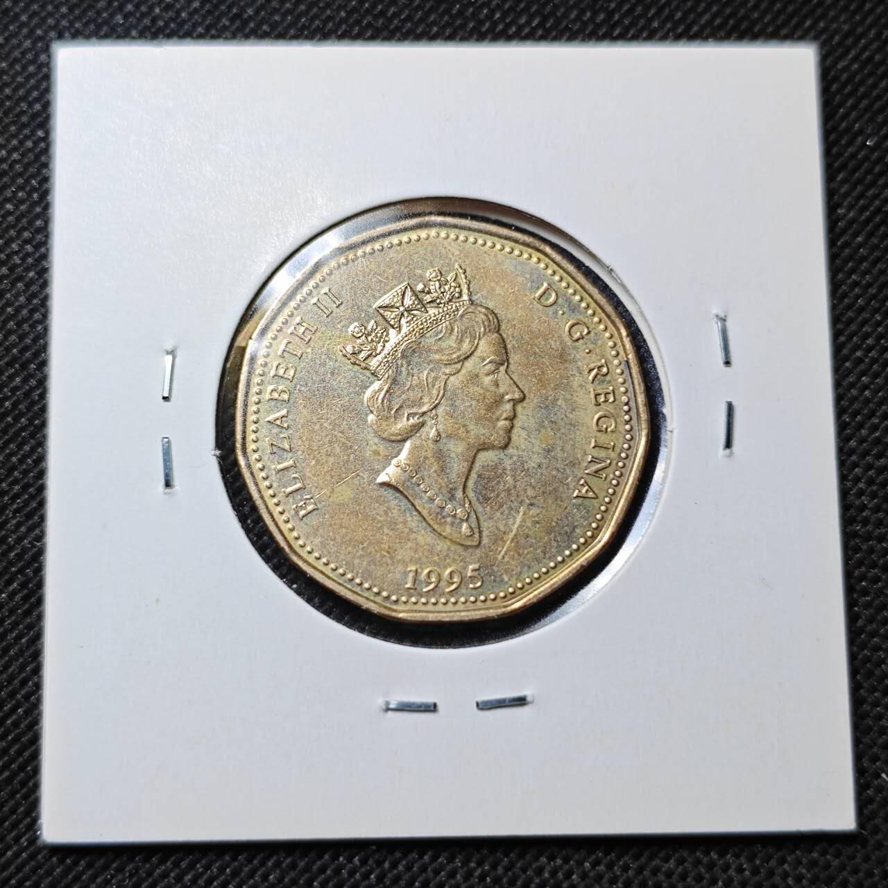 KK钱币收藏小铺  第364场  2月预留时间 周末发货  加拿大1元纪念币