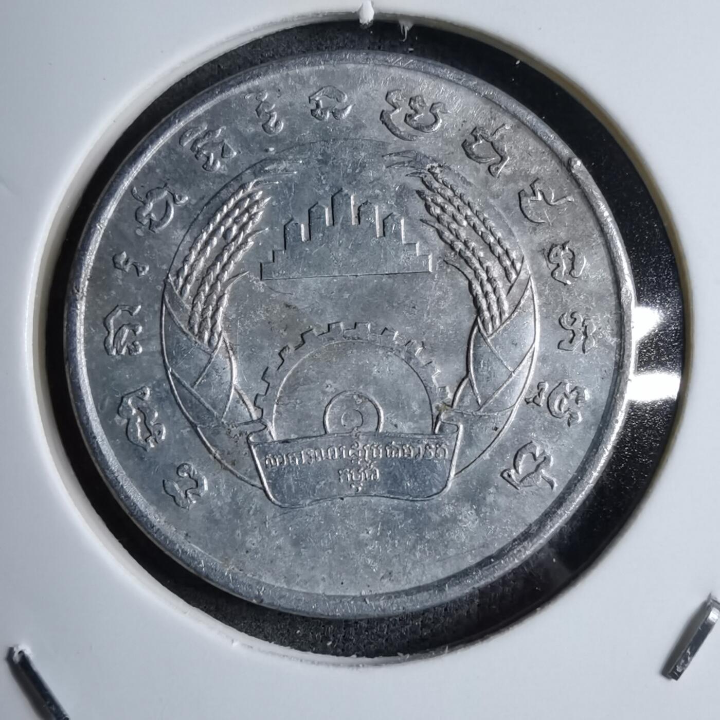 沼泽如烟--第890场