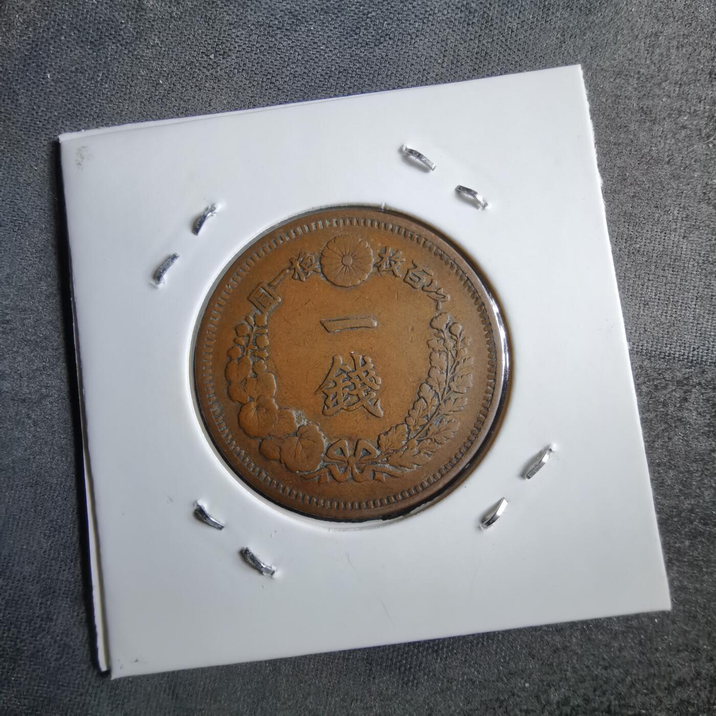 沼泽如烟--第891场