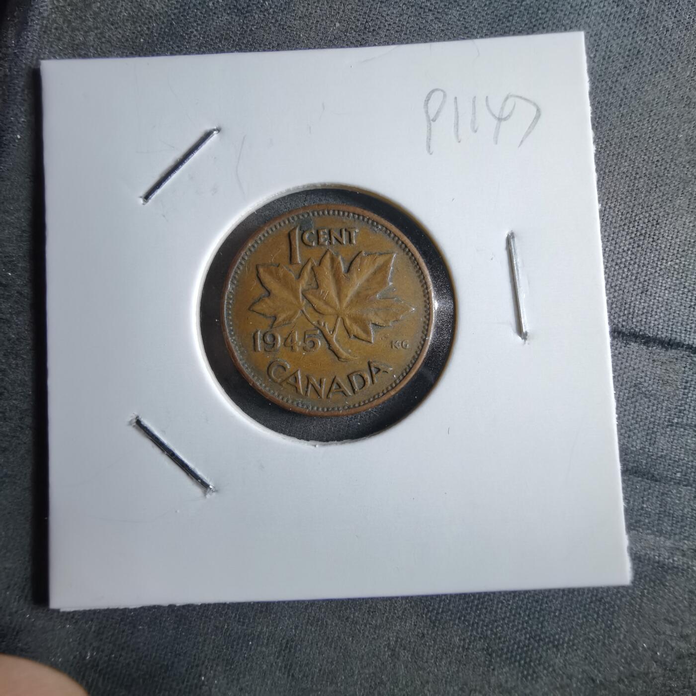 沼泽如烟--第891场