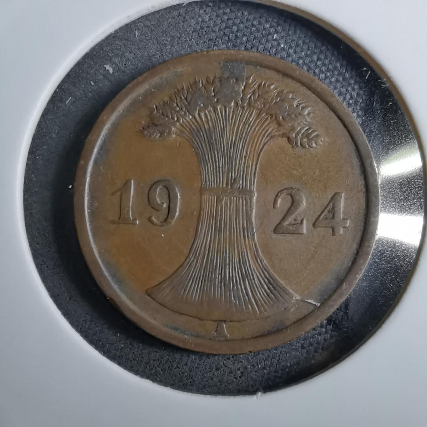 沼泽如烟--第891场