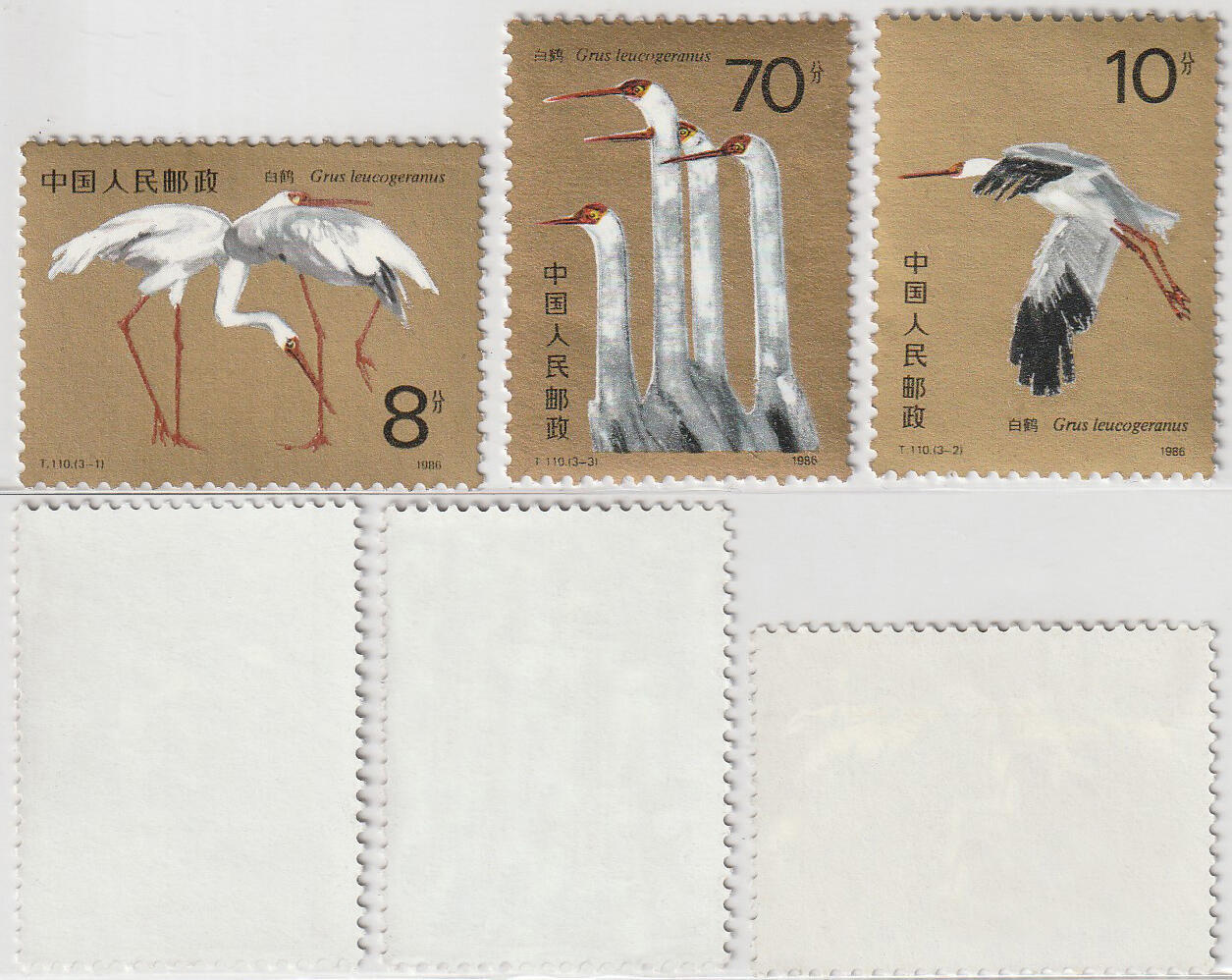 洪涛臻品批发群 精选邮票限时拍卖第1156期 