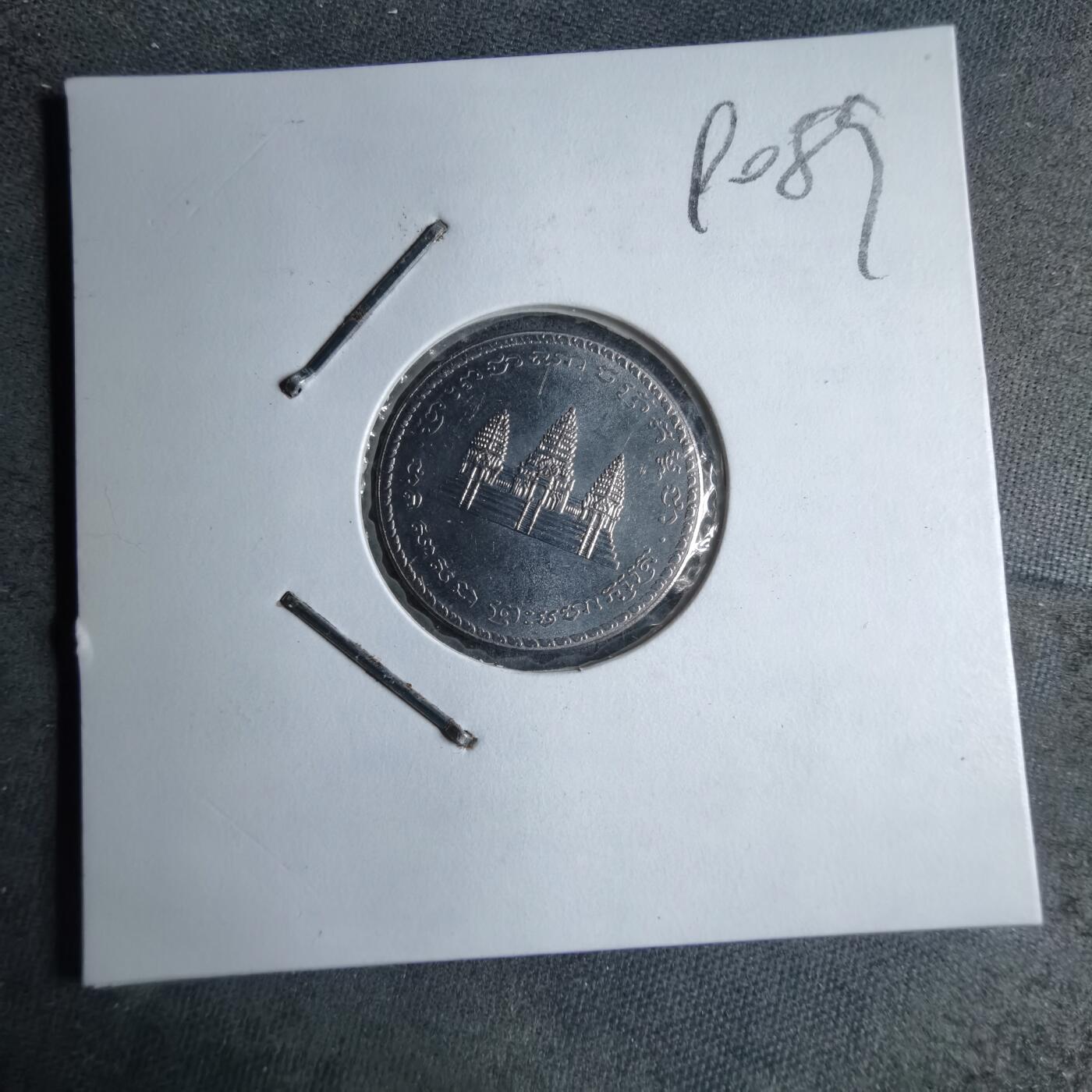 沼泽如烟--第890场