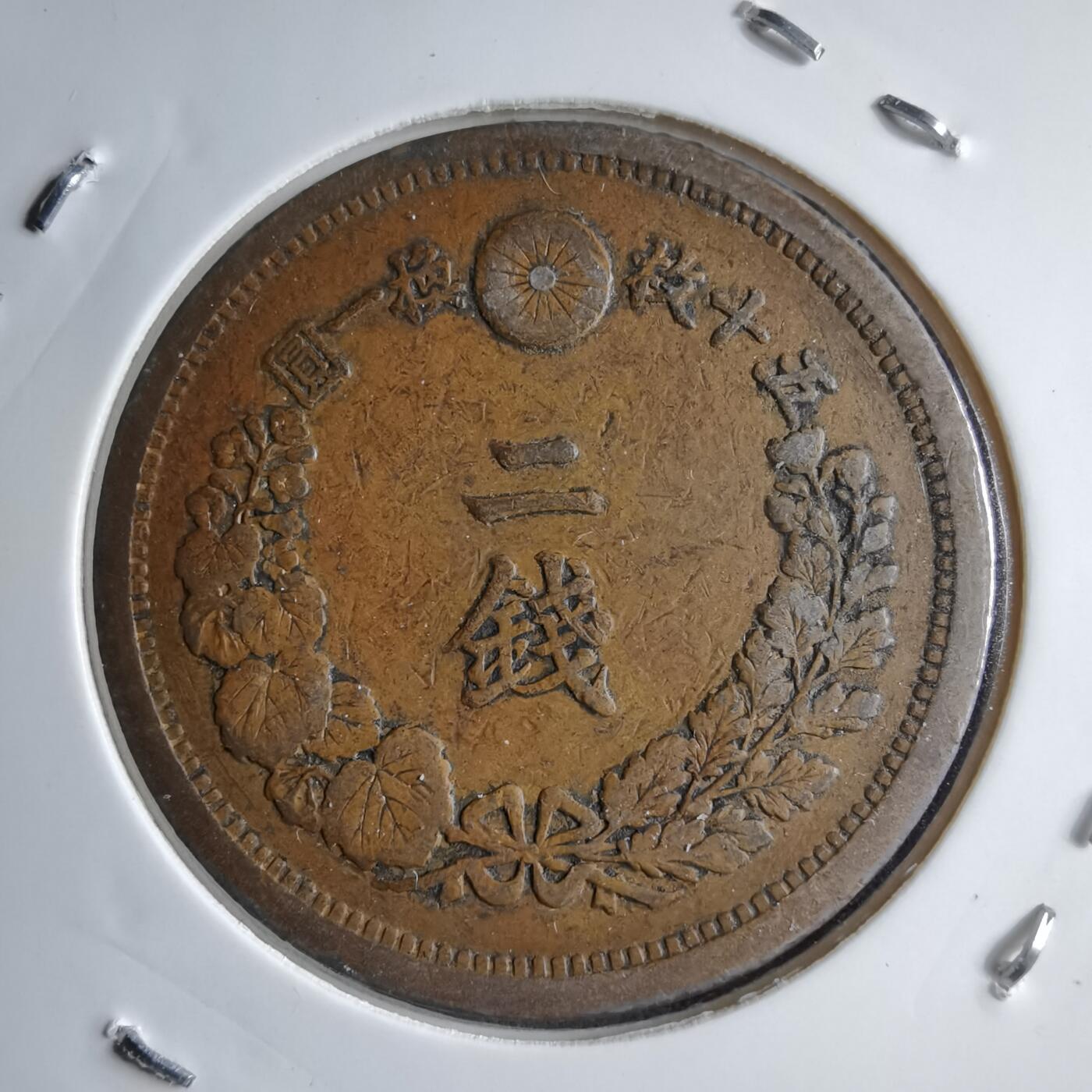 沼泽如烟--第891场