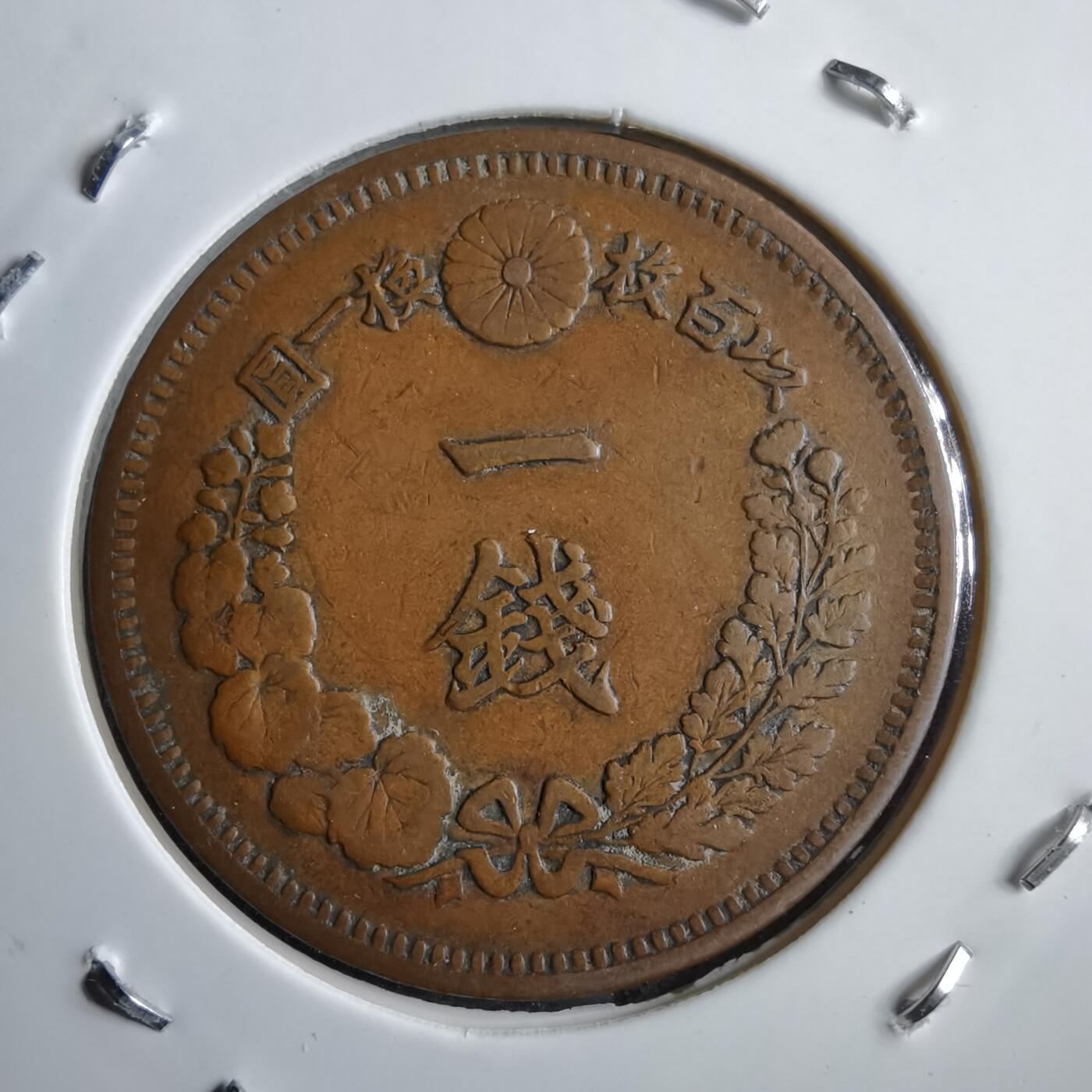 沼泽如烟--第891场