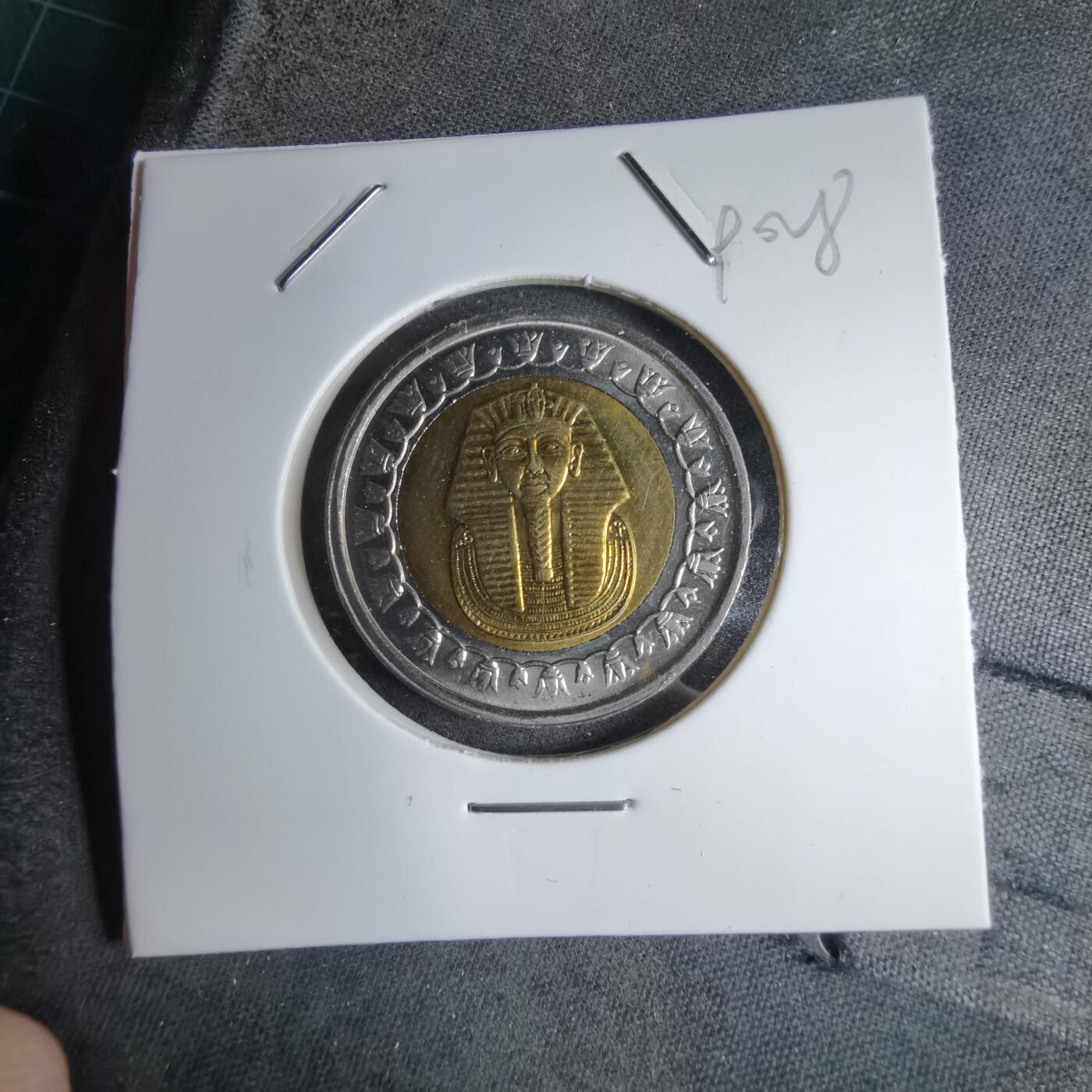 沼泽如烟--第890场 埃及