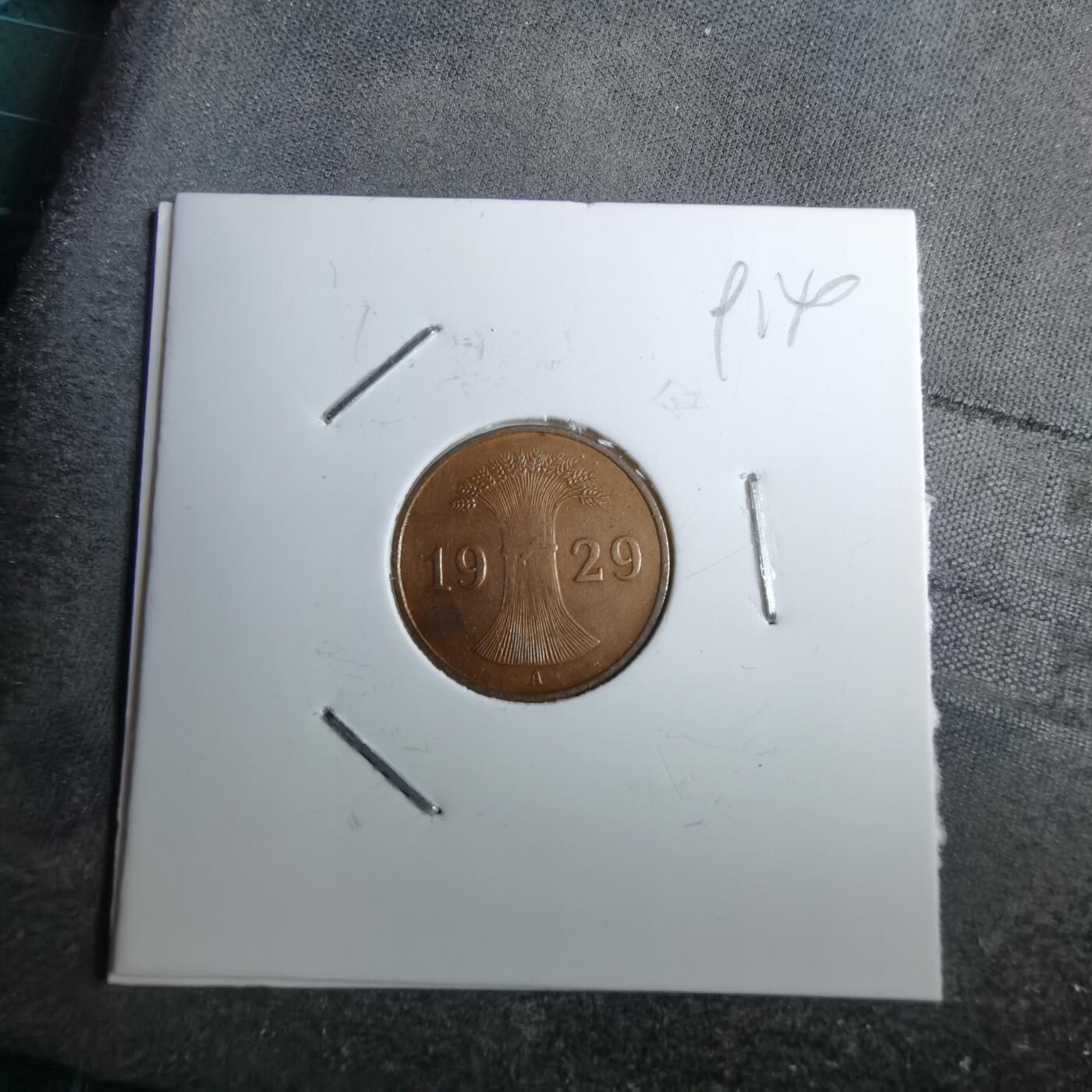 沼泽如烟--第891场