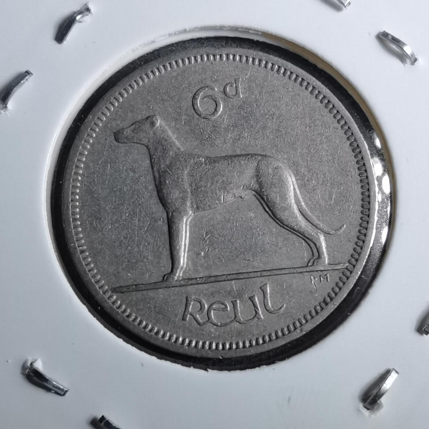 沼泽如烟--第891场