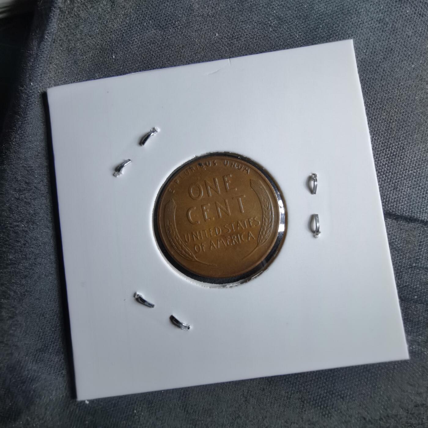 沼泽如烟--第891场