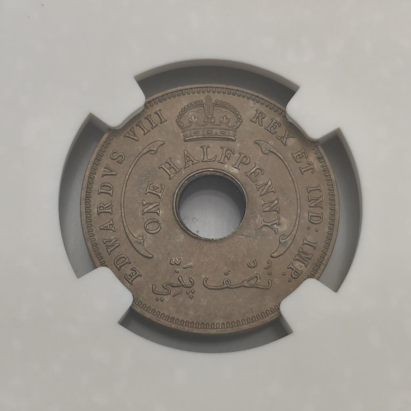 老蟹的宝藏🏴‍☠️ III