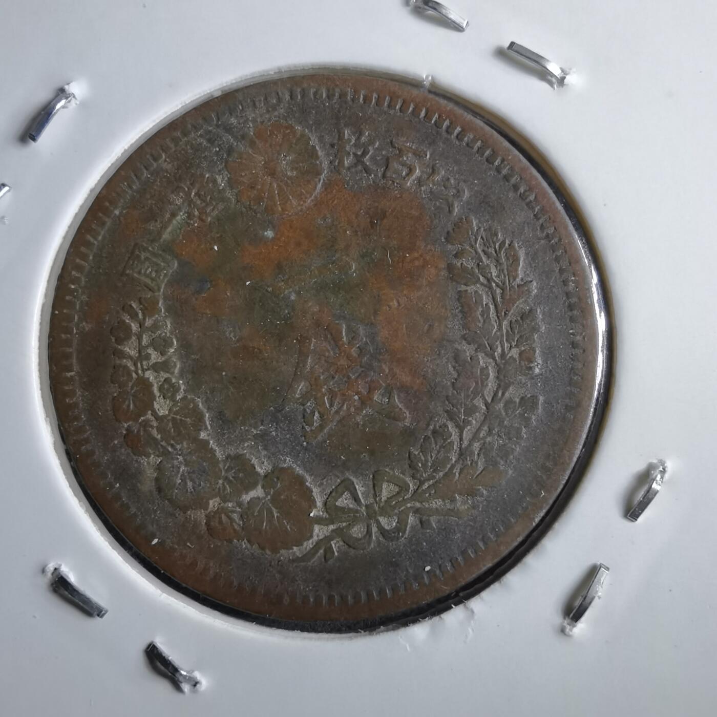 沼泽如烟--第891场