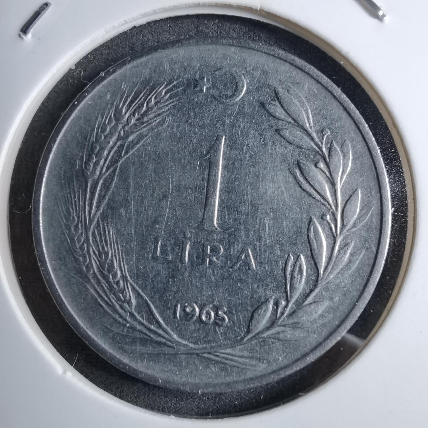 沼泽如烟--第890场