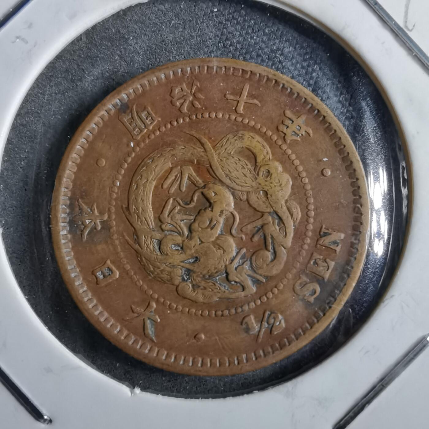 沼泽如烟--第891场