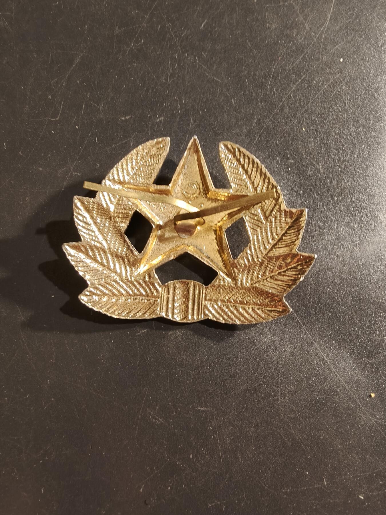 老王徽章第161期