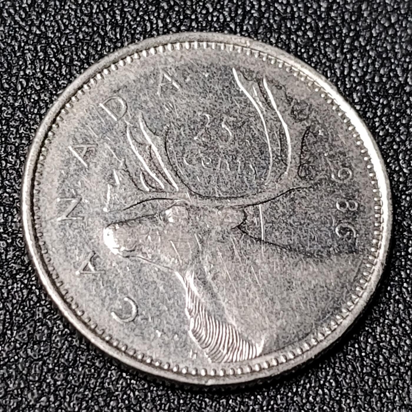 泉币菌-第124场-精品福利场(115场之后的本周末发货，感谢理解) 。