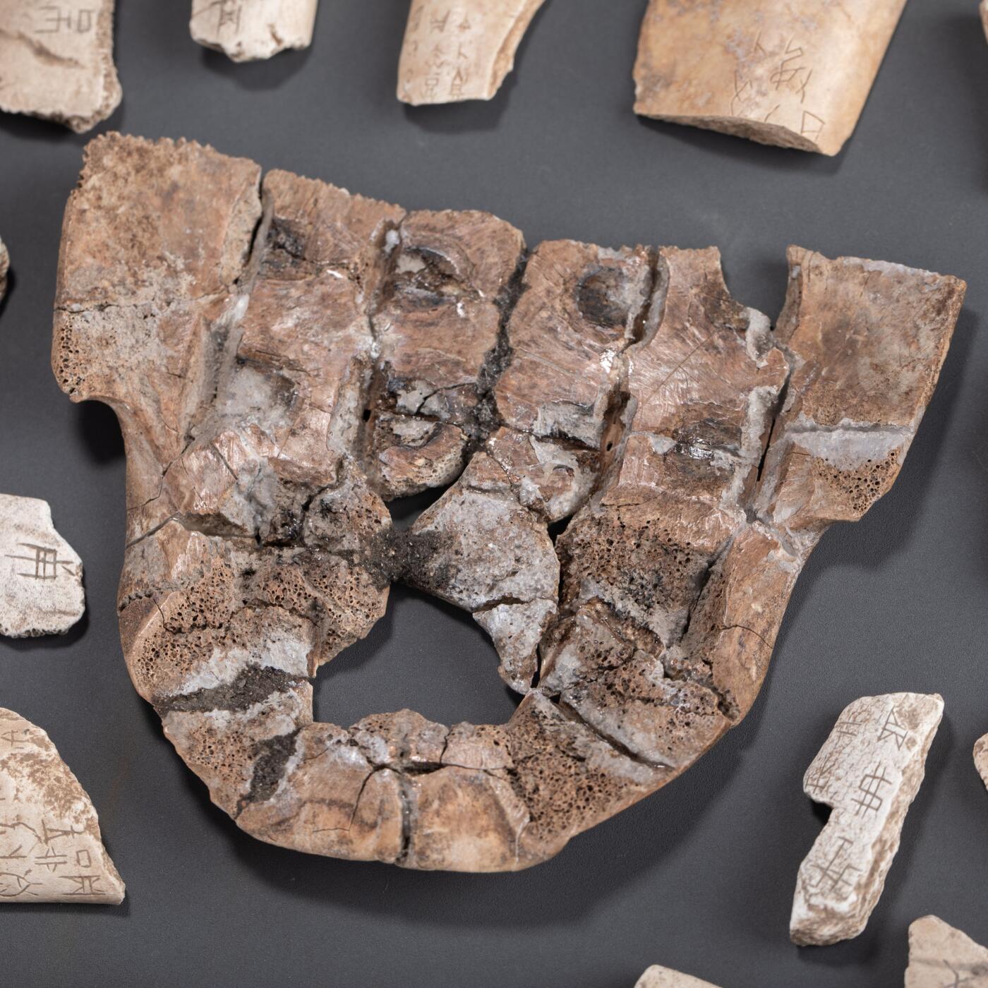 日本大阪雅和auction 2025金秋競賣會第一期 甲骨文 一組86點 尺寸:尺寸不一 備註:木箱