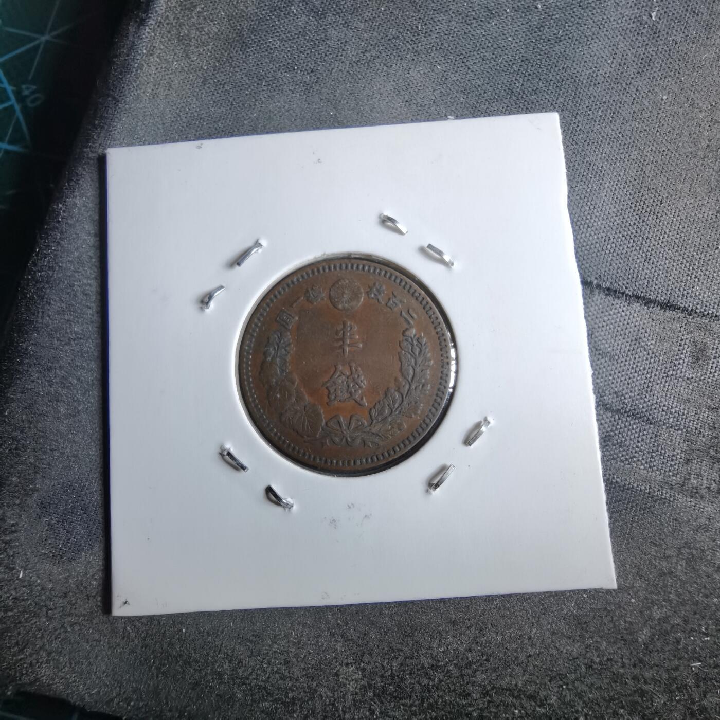 沼泽如烟--第891场