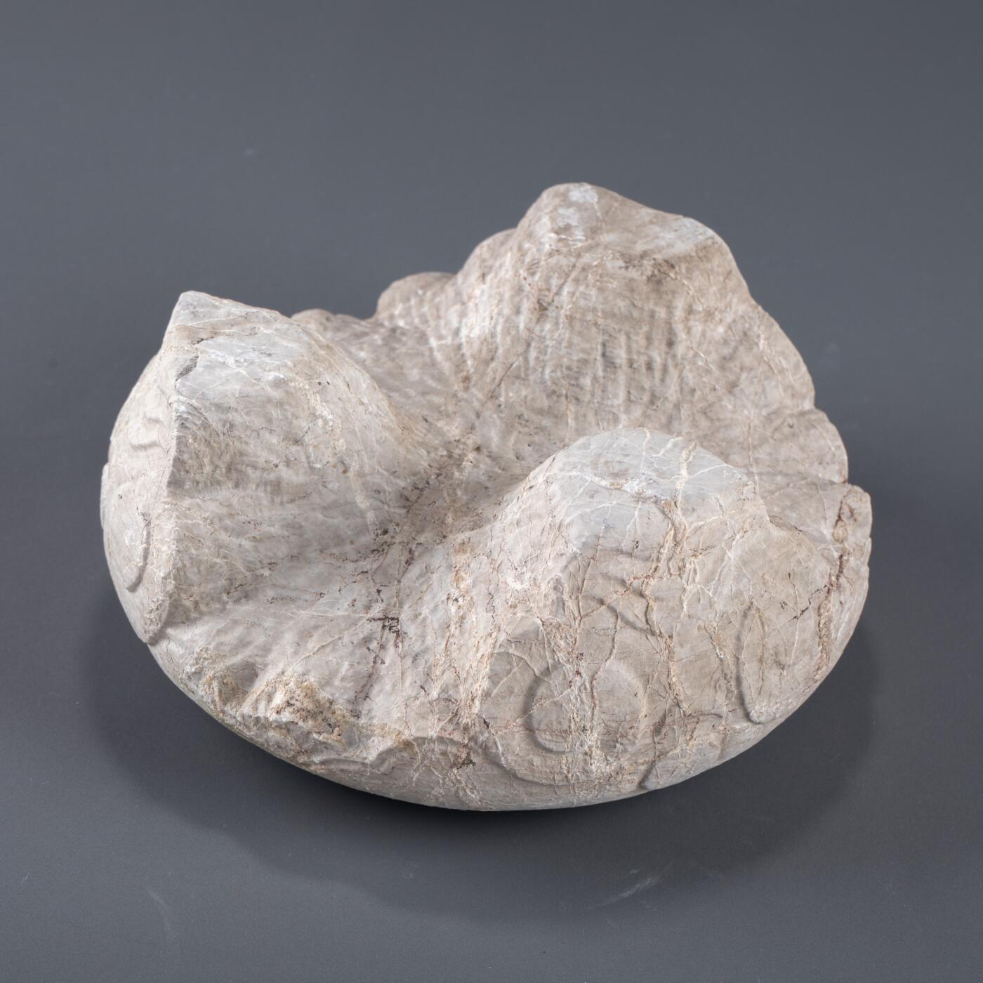 日本大阪雅和auction 2025金秋競賣會第一期