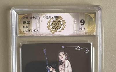 NO.14 好又多金牌大场，双11狂欢！每周一站式配齐，方便凑单！（周6晚8点截拍，卖家送拍0抽成！） - 焱卡 Art×毒瘤 戚励 炫彩 9分