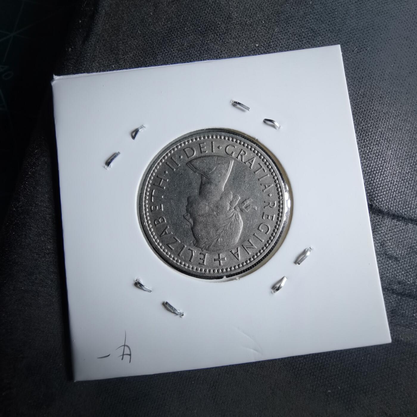 沼泽如烟--第891场