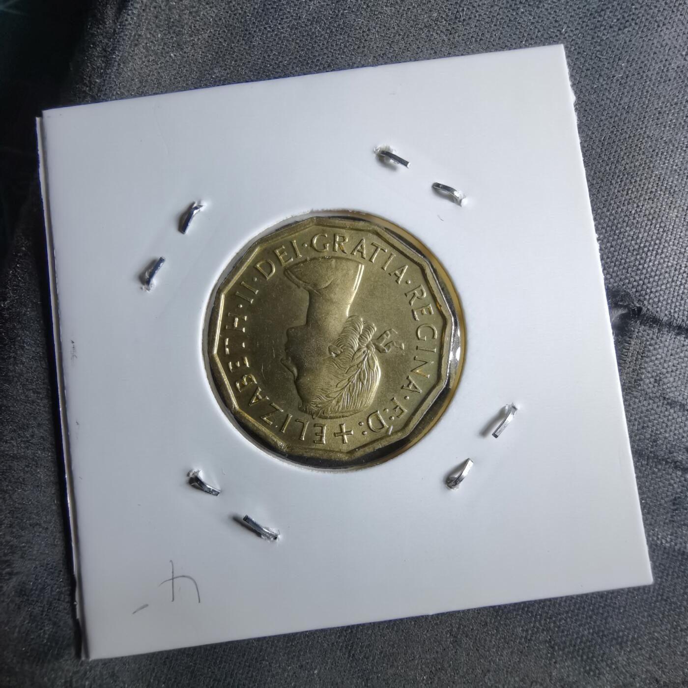 沼泽如烟--第891场