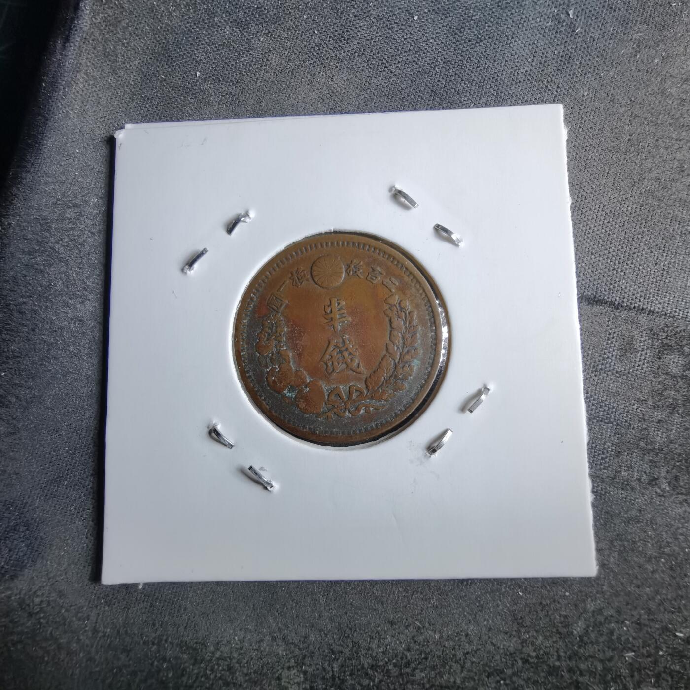 沼泽如烟--第891场