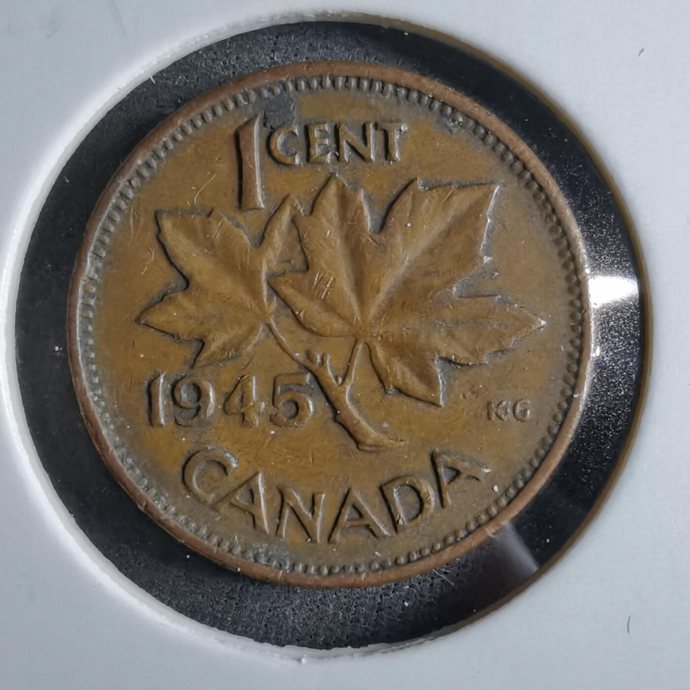 沼泽如烟--第891场