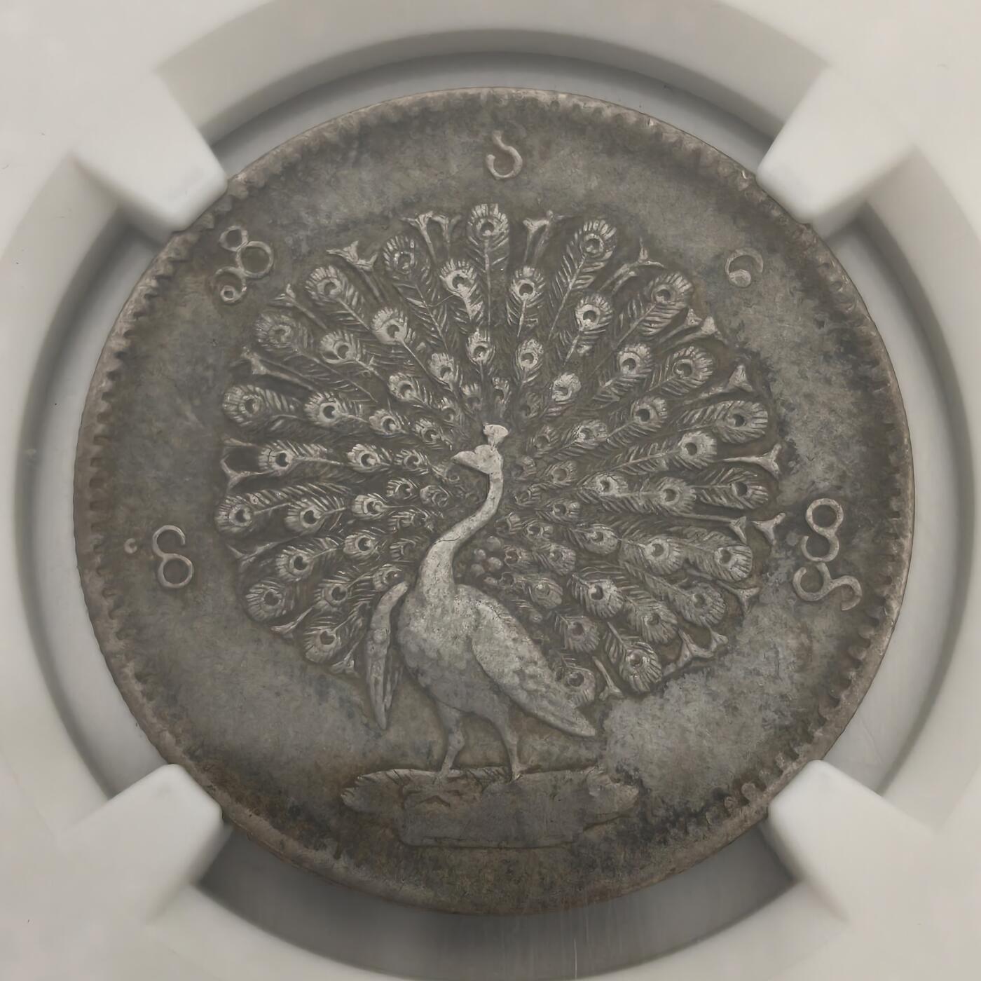 老蟹的宝藏🏴‍☠️ III